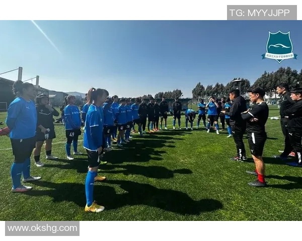 武汉足球队在精英赛中的表现分析与状态评估