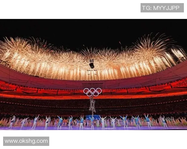 深圳排球队在奥运会上的个人能力表现分析与点评