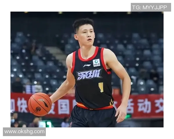 深圳篮球队实力揭秘：探索这支球队的崛起与未来发展潜力